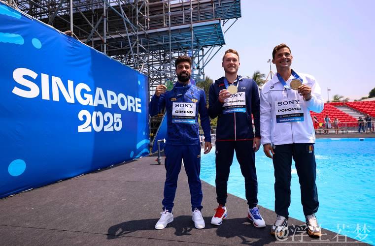 “世界泳联世锦赛男子27米高台跳水决赛”