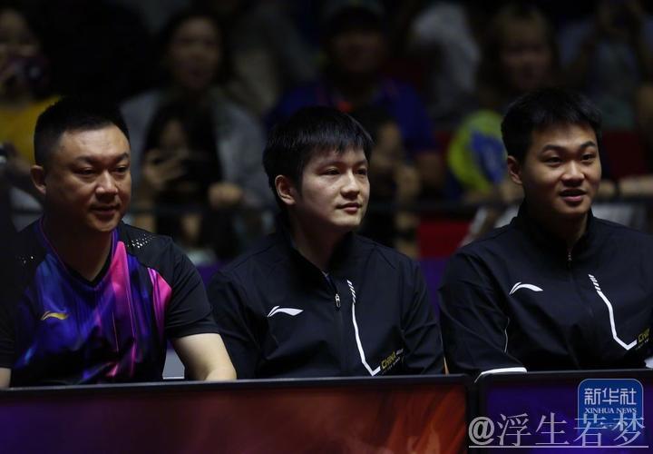 樊振东独揽两分助上海地产险胜山东鲁能3-2