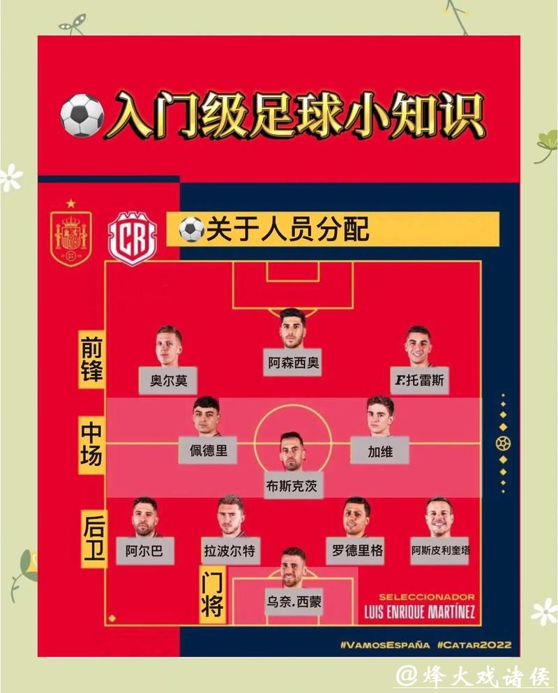 深入解析世界杯球队表现与竞赛策略